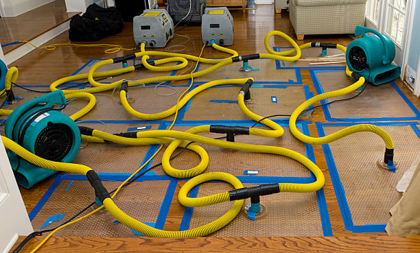 Professional Storm Water Damage Restoration technician working in White City, UT